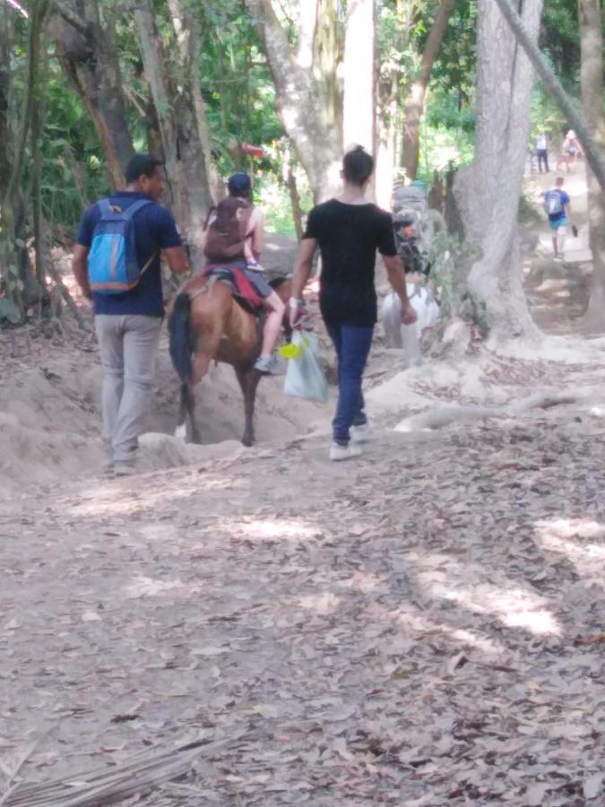 Sierra Tayrona Hostel El Zaino Eksteriør bilde