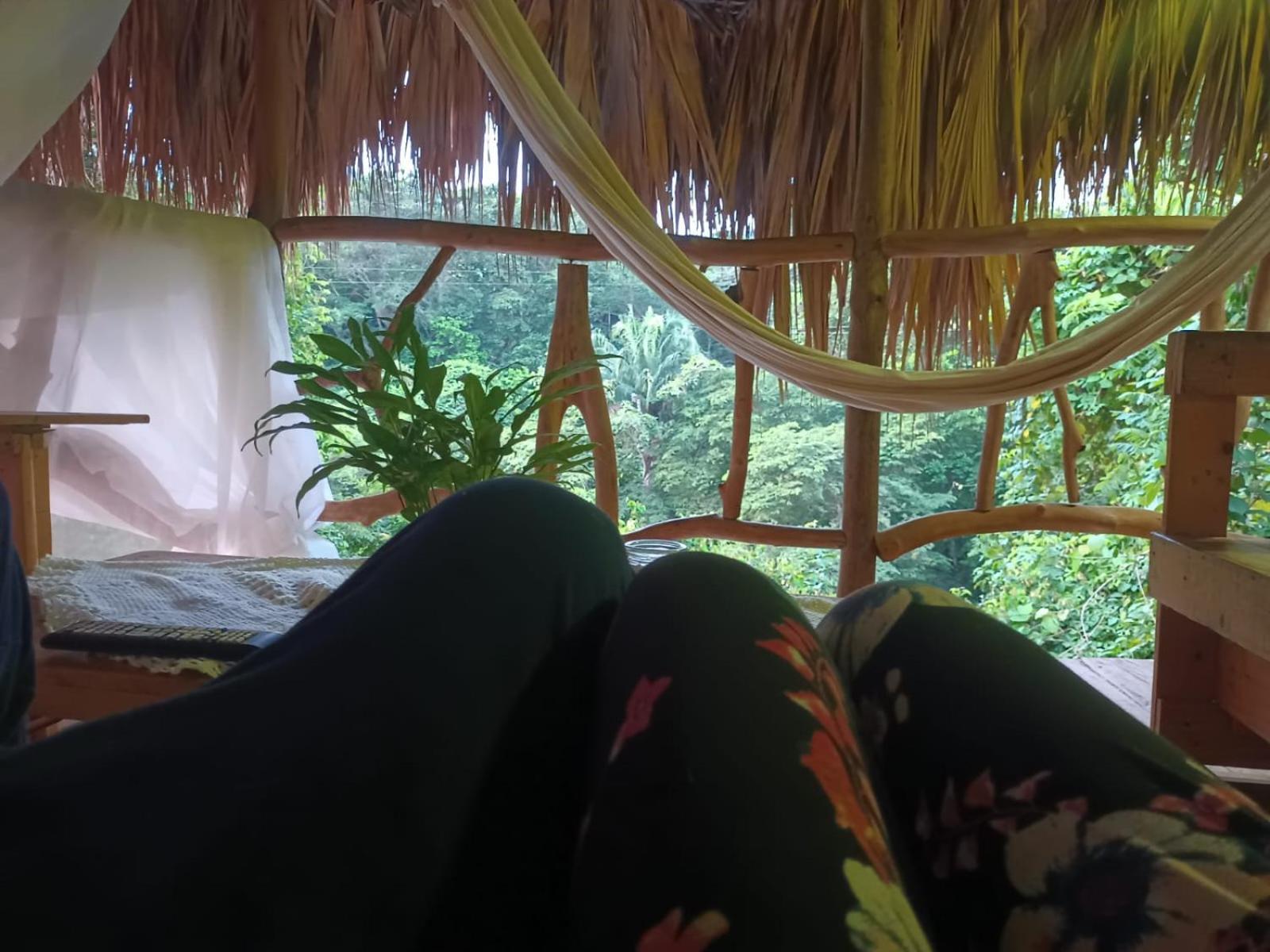 Sierra Tayrona Hostel El Zaino Eksteriør bilde