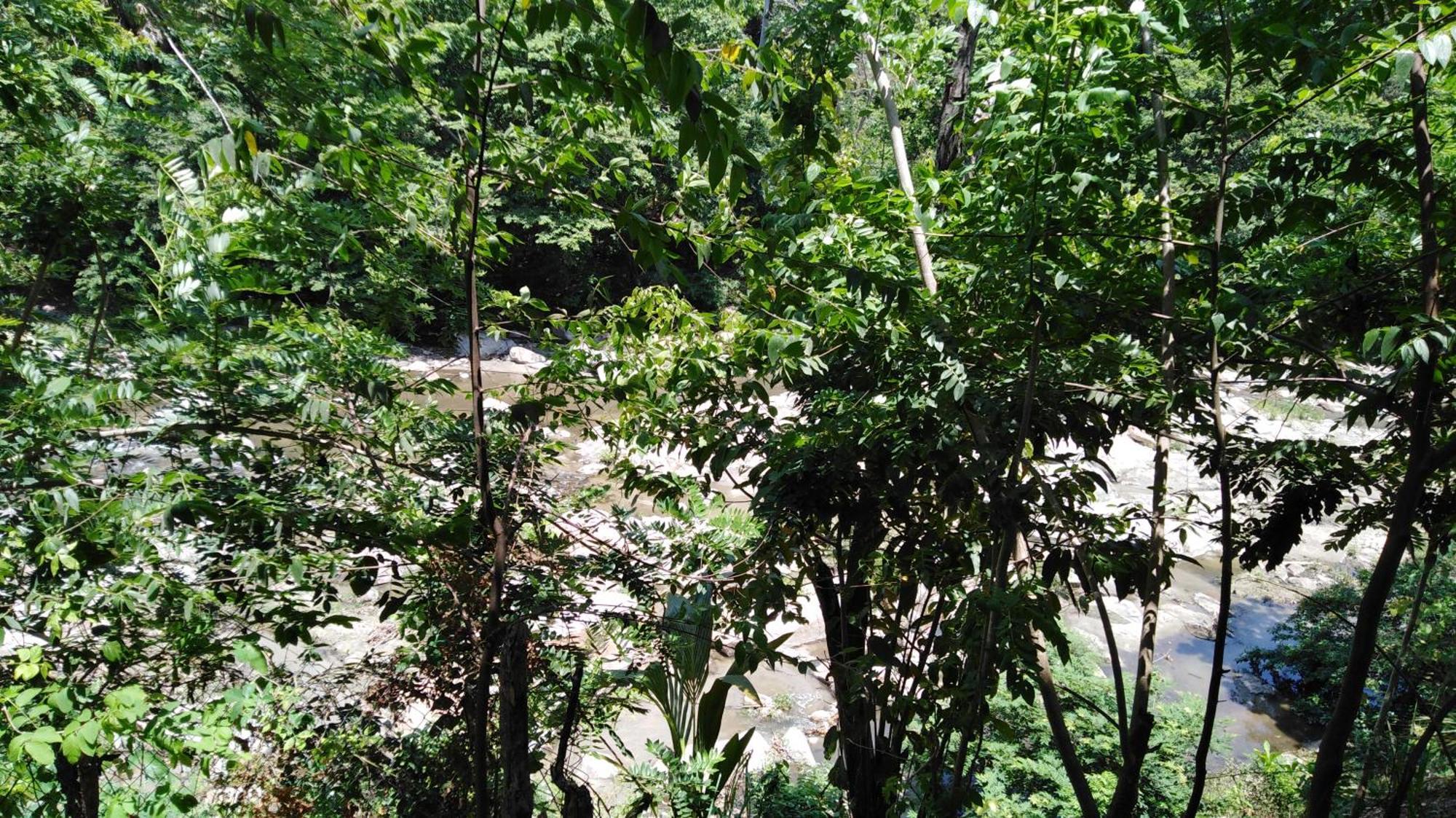 Sierra Tayrona Hostel El Zaino Eksteriør bilde
