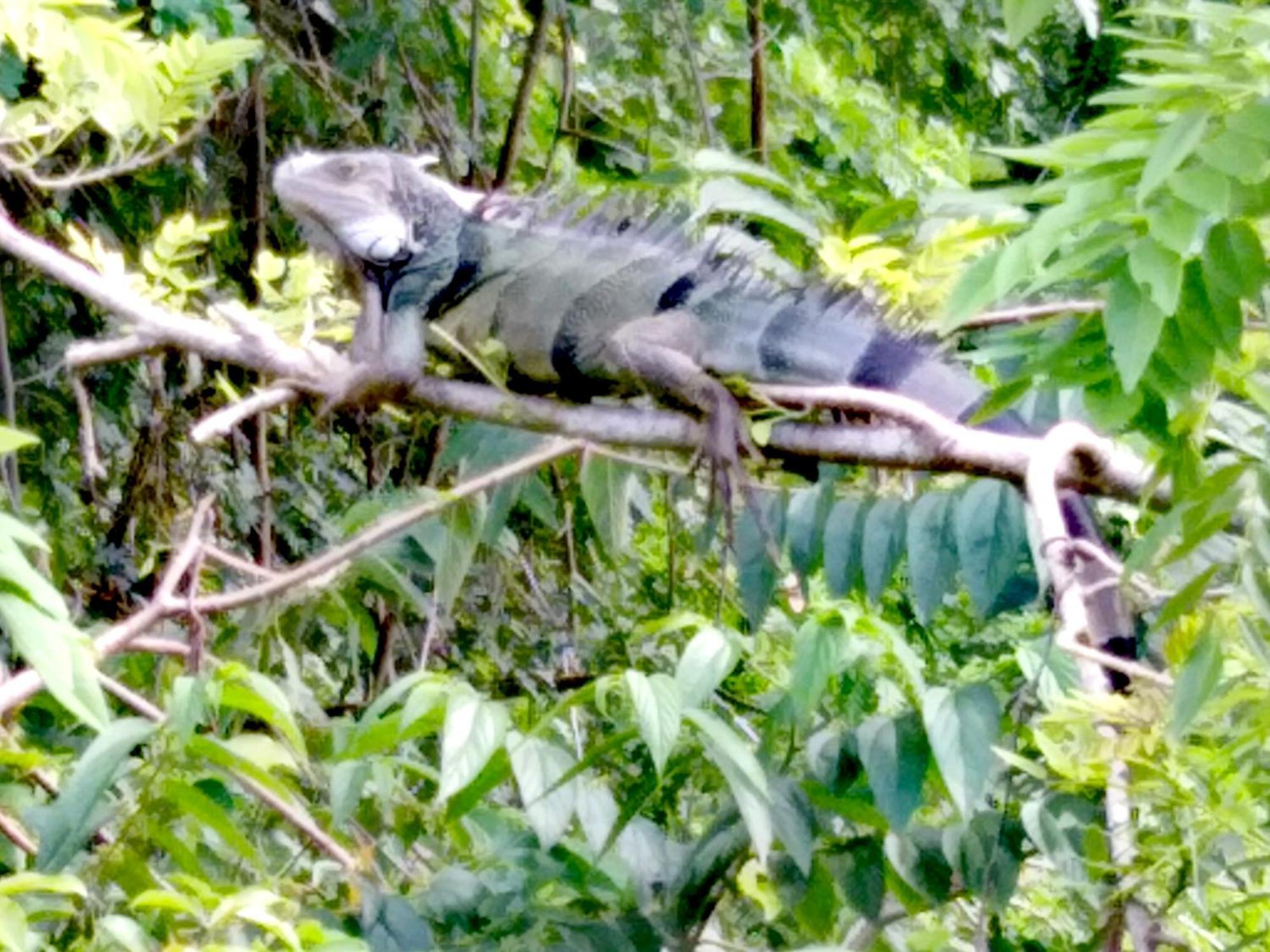 Sierra Tayrona Hostel El Zaino Eksteriør bilde