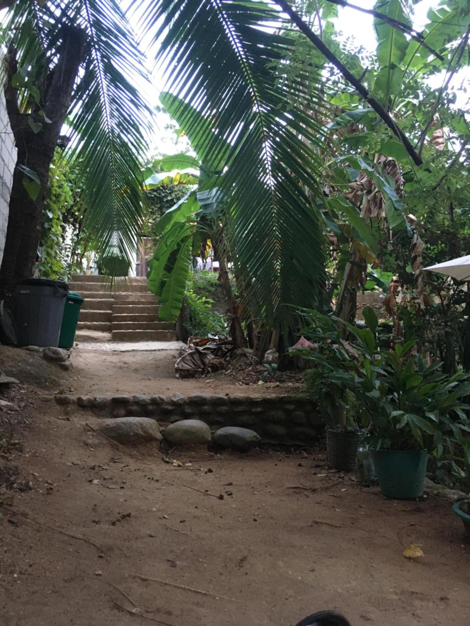Sierra Tayrona Hostel El Zaino Eksteriør bilde
